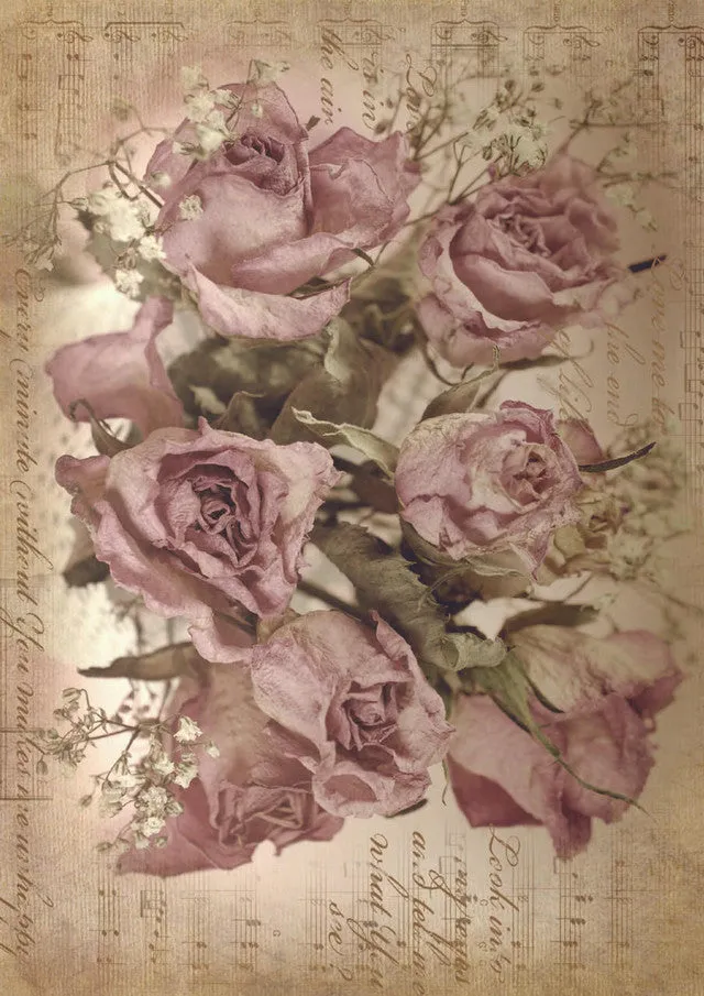 Sepia Rose Song - A1 Rice Decoupage Paper