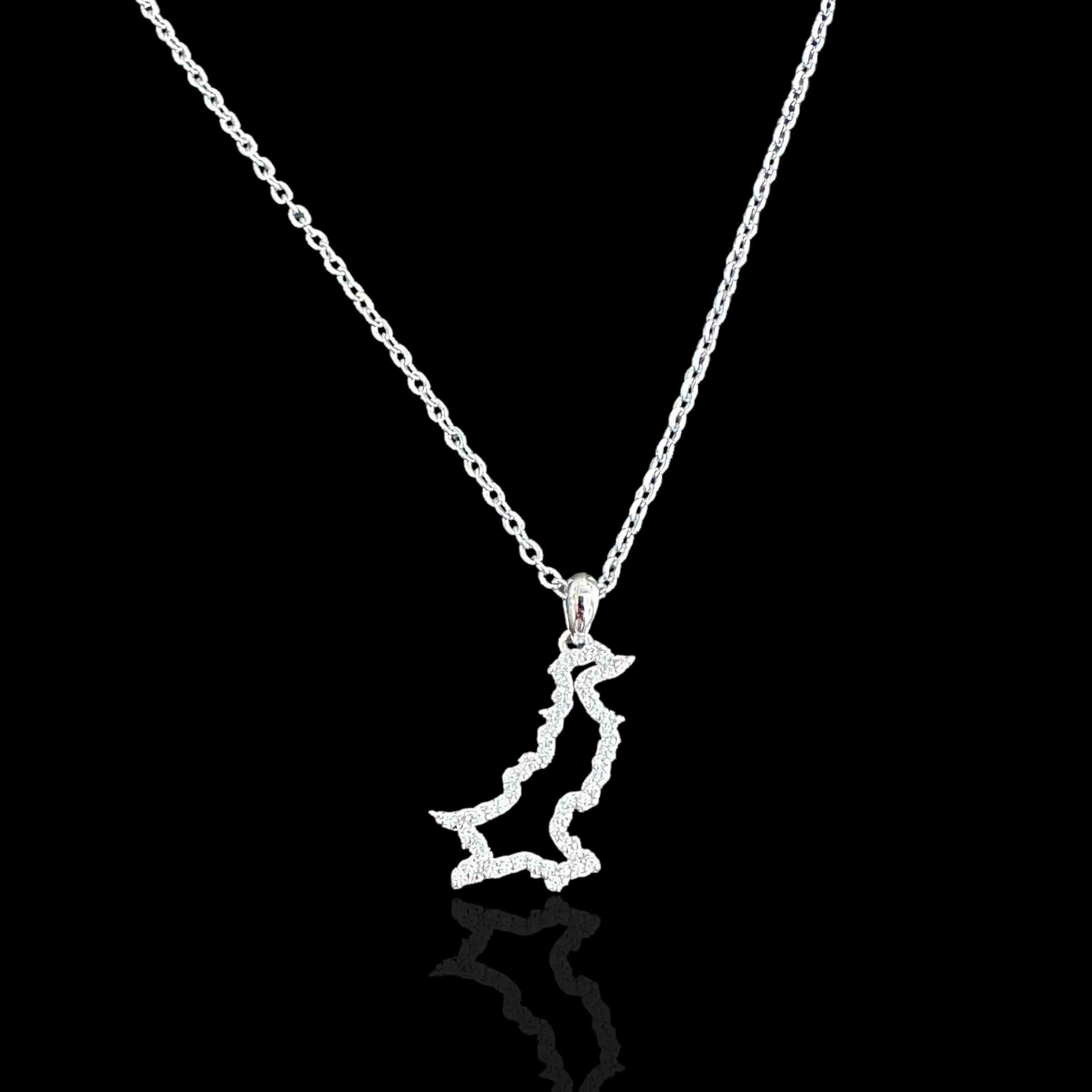 Sterling Silver Pakistan Map CZ Outline Necklace - Available in 3 Colors